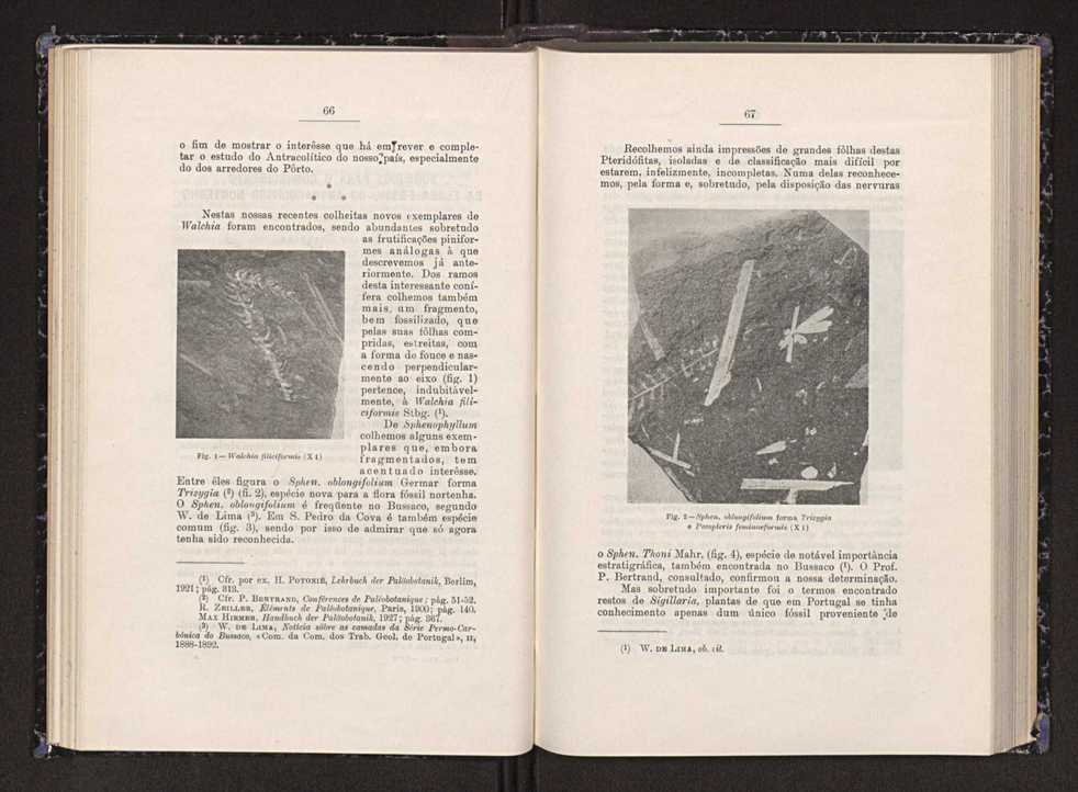 Anais da Faculdade de Scincias do Porto (antigos Annaes Scientificos da Academia Polytecnica do Porto). Vol. 23 36