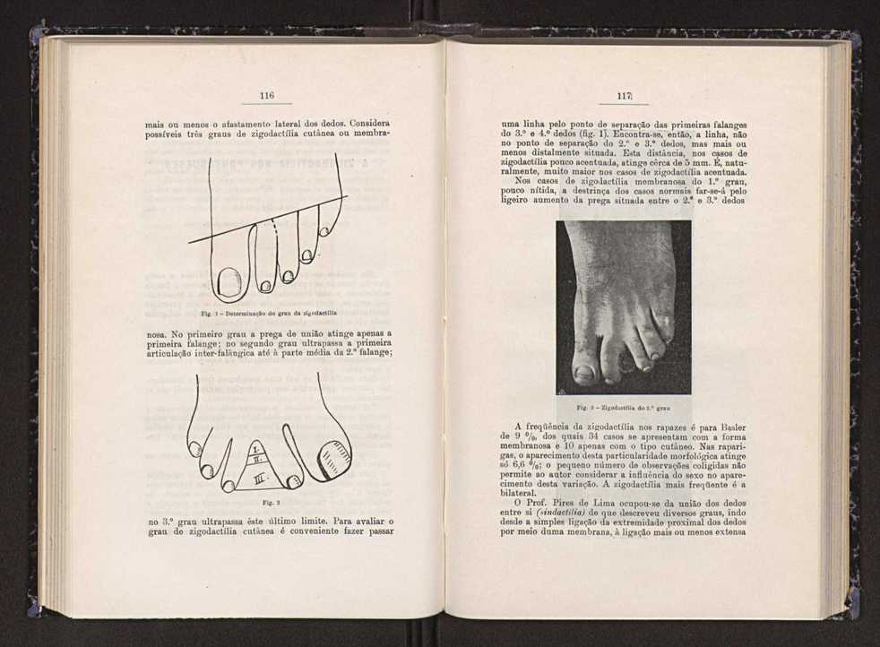 Anais da Faculdade de Scincias do Porto (antigos Annaes Scientificos da Academia Polytecnica do Porto). Vol. 23 61