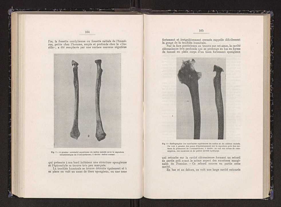 Anais da Faculdade de Scincias do Porto (antigos Annaes Scientificos da Academia Polytecnica do Porto). Vol. 23 85