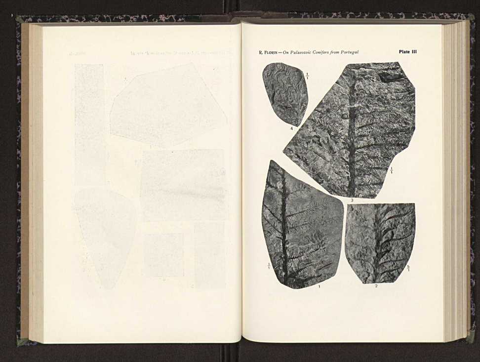 Anais da Faculdade de Scincias do Porto (antigos Annaes Scientificos da Academia Polytecnica do Porto). Vol. 24 45