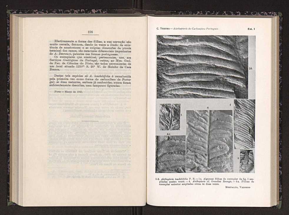 Anais da Faculdade de Scincias do Porto (antigos Annaes Scientificos da Academia Polytecnica do Porto). Vol. 24 94