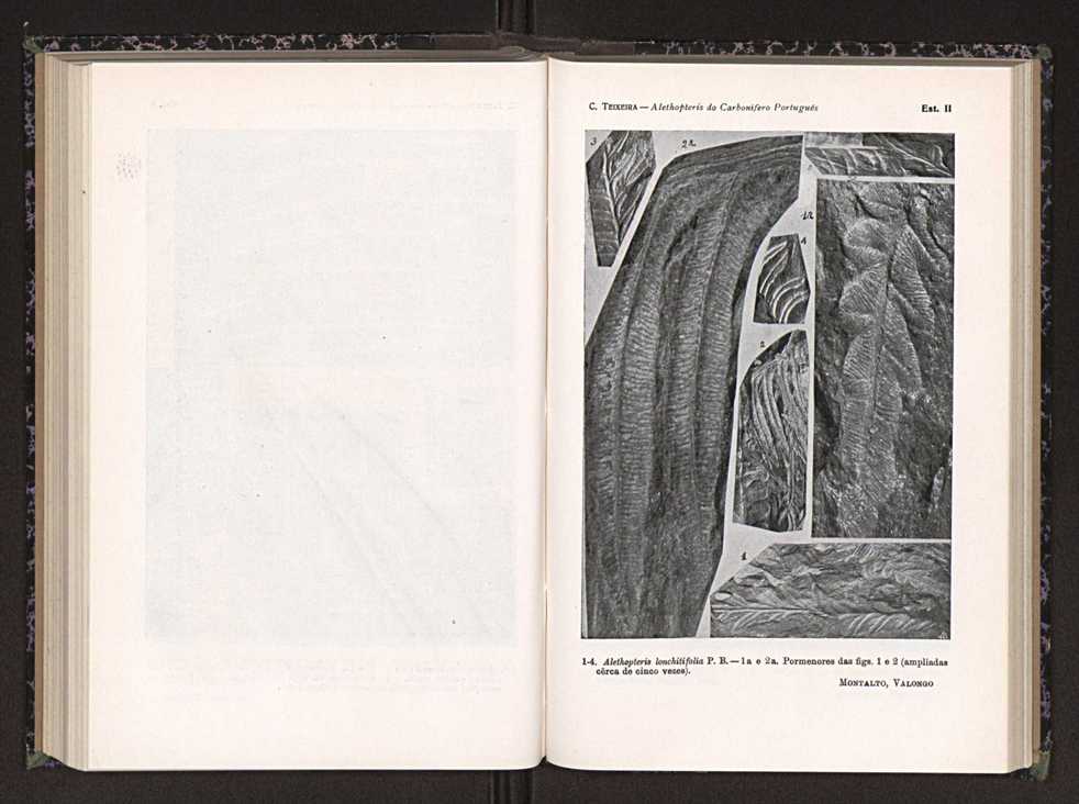 Anais da Faculdade de Scincias do Porto (antigos Annaes Scientificos da Academia Polytecnica do Porto). Vol. 24 95