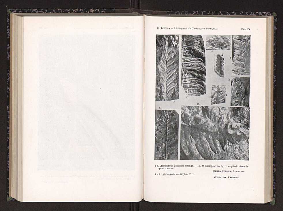 Anais da Faculdade de Scincias do Porto (antigos Annaes Scientificos da Academia Polytecnica do Porto). Vol. 24 97