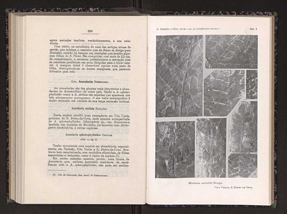 Anais da Faculdade de Scincias do Porto (antigos Annaes Scientificos da Academia Polytecnica do Porto). Vol. 24 129
