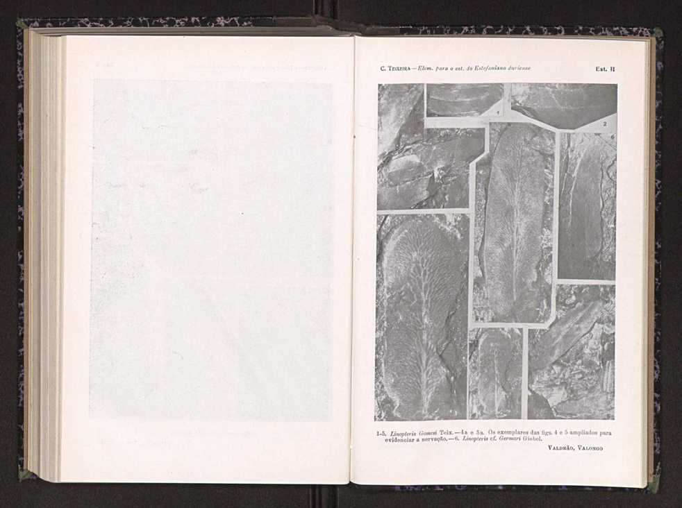 Anais da Faculdade de Scincias do Porto (antigos Annaes Scientificos da Academia Polytecnica do Porto). Vol. 24 130