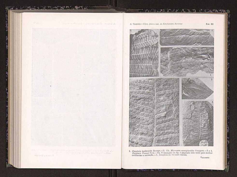 Anais da Faculdade de Scincias do Porto (antigos Annaes Scientificos da Academia Polytecnica do Porto). Vol. 24 131