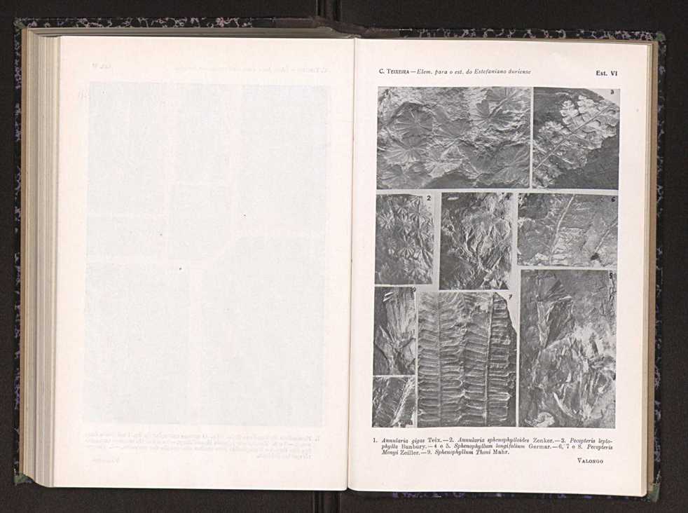 Anais da Faculdade de Scincias do Porto (antigos Annaes Scientificos da Academia Polytecnica do Porto). Vol. 24 134