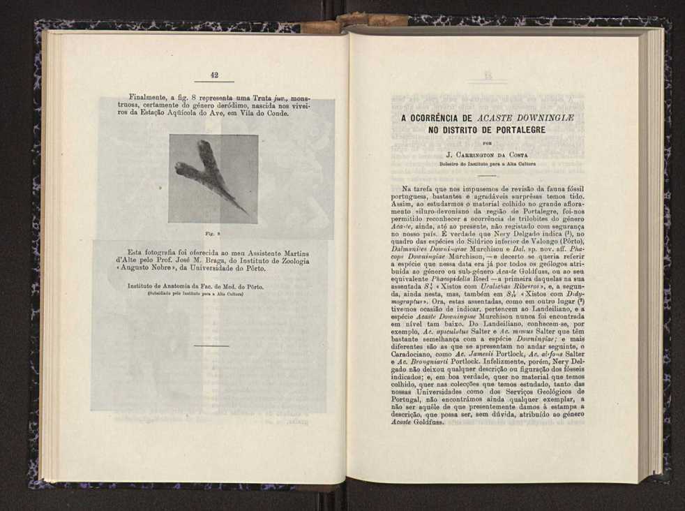 Anais da Faculdade de Scincias do Porto (antigos Annaes Scientificos da Academia Polytecnica do Porto). Vol. 26 23