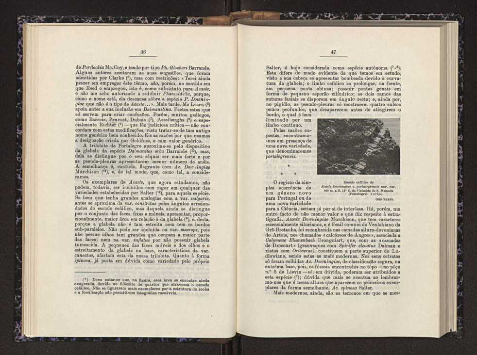 Anais da Faculdade de Scincias do Porto (antigos Annaes Scientificos da Academia Polytecnica do Porto). Vol. 26 25