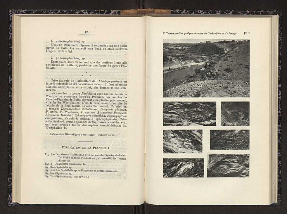 Anais da Faculdade de Scincias do Porto (antigos Annaes Scientificos da Academia Polytecnica do Porto). Vol. 26 62