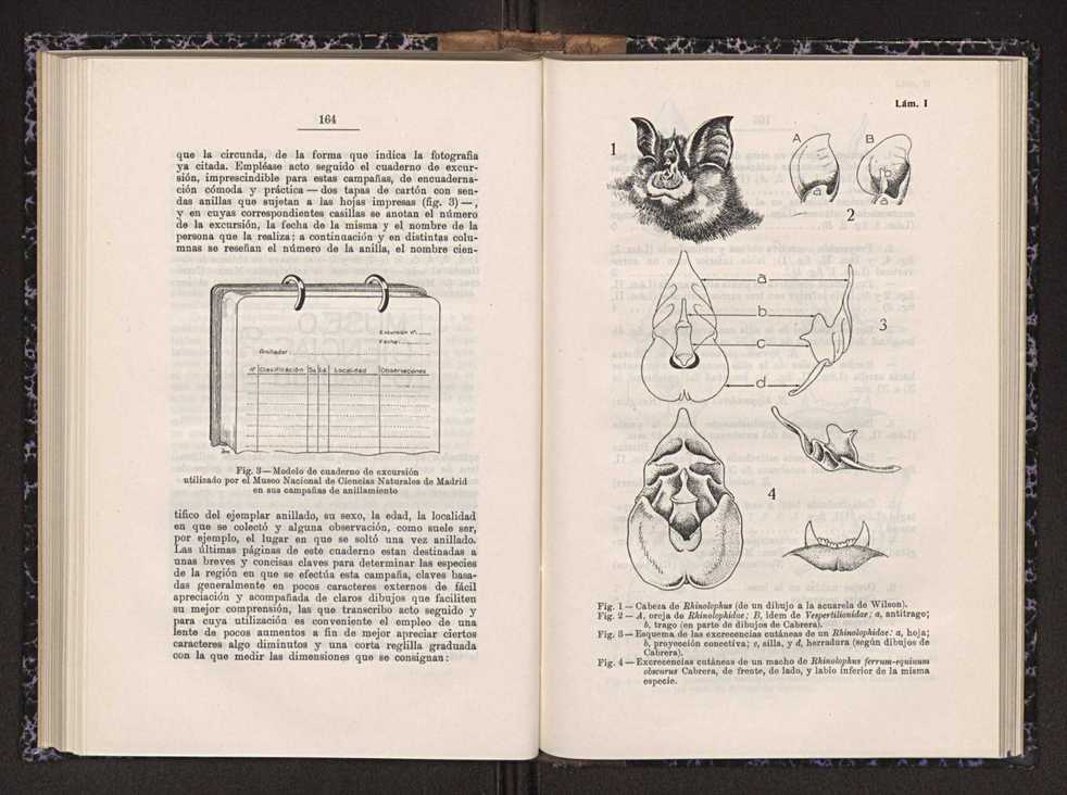 Anais da Faculdade de Scincias do Porto (antigos Annaes Scientificos da Academia Polytecnica do Porto). Vol. 26 85