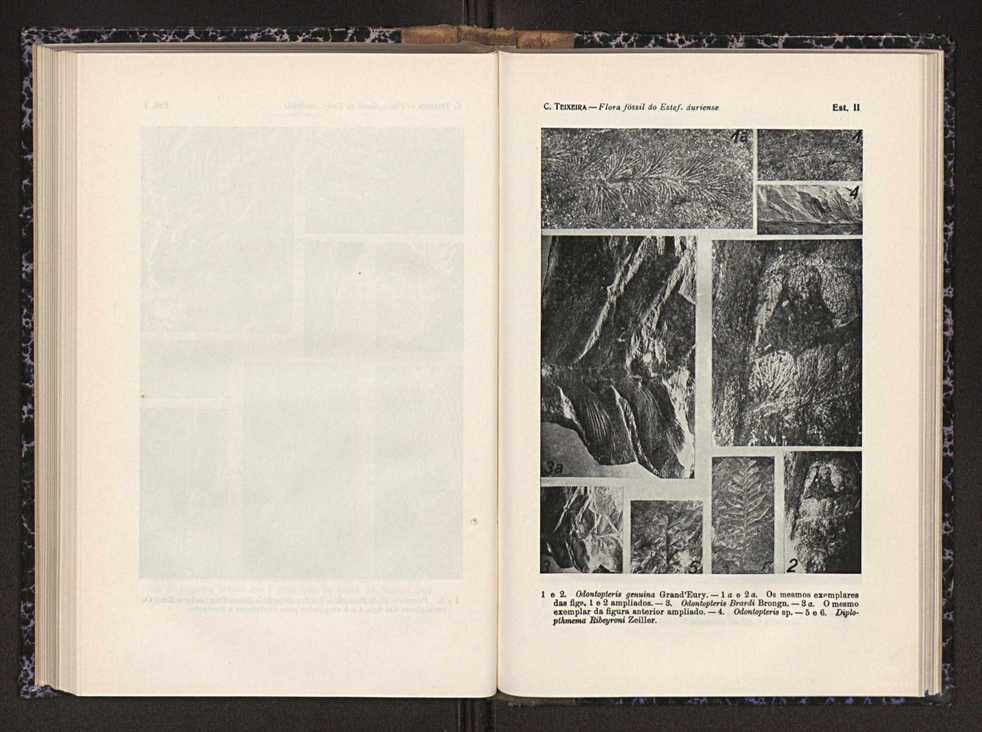 Anais da Faculdade de Scincias do Porto (antigos Annaes Scientificos da Academia Polytecnica do Porto). Vol. 26 96