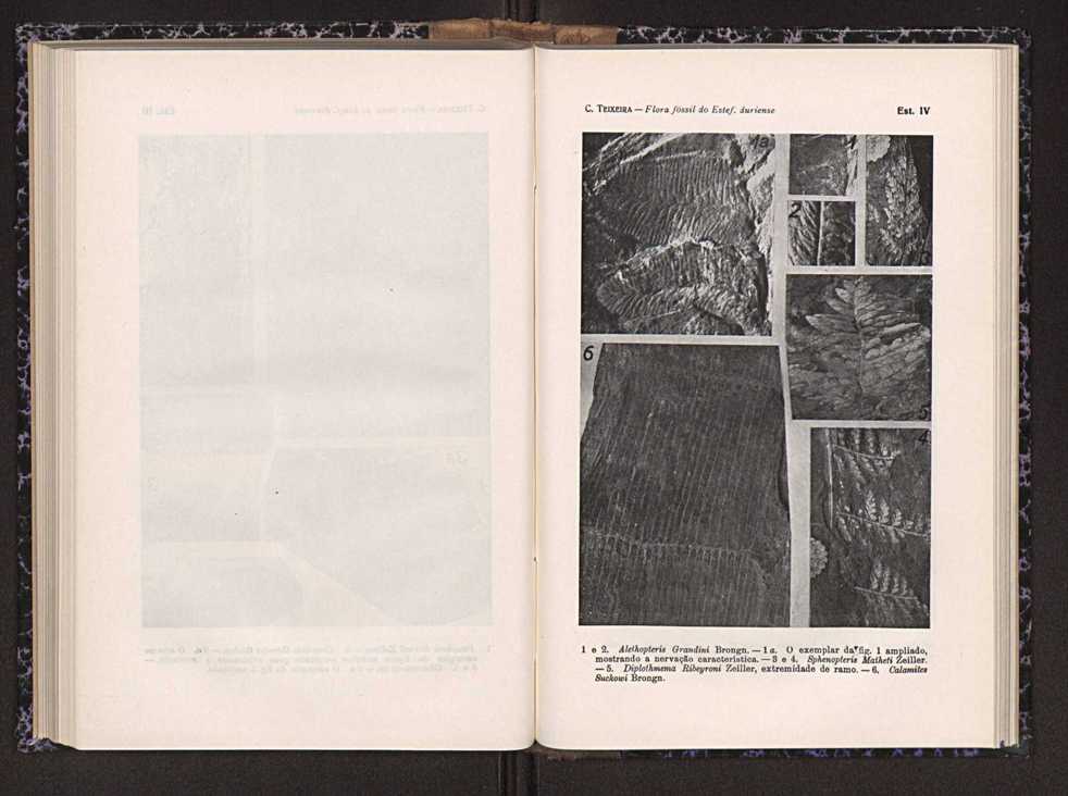 Anais da Faculdade de Scincias do Porto (antigos Annaes Scientificos da Academia Polytecnica do Porto). Vol. 26 98