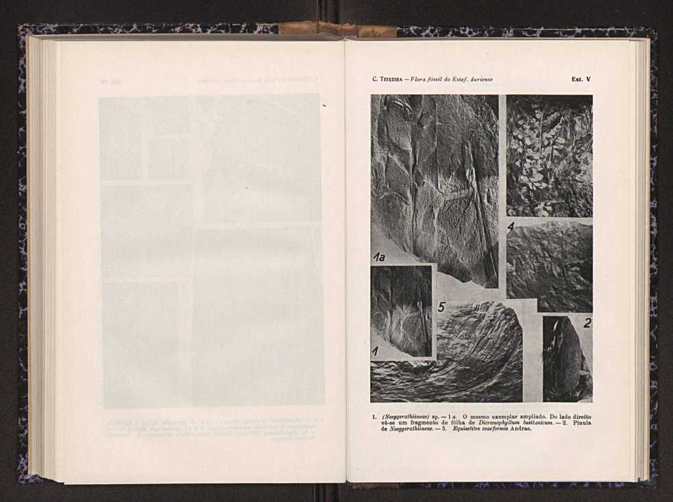 Anais da Faculdade de Scincias do Porto (antigos Annaes Scientificos da Academia Polytecnica do Porto). Vol. 26 99