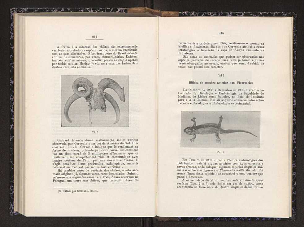 Anais da Faculdade de Scincias do Porto (antigos Annaes Scientificos da Academia Polytecnica do Porto). Vol. 26 131