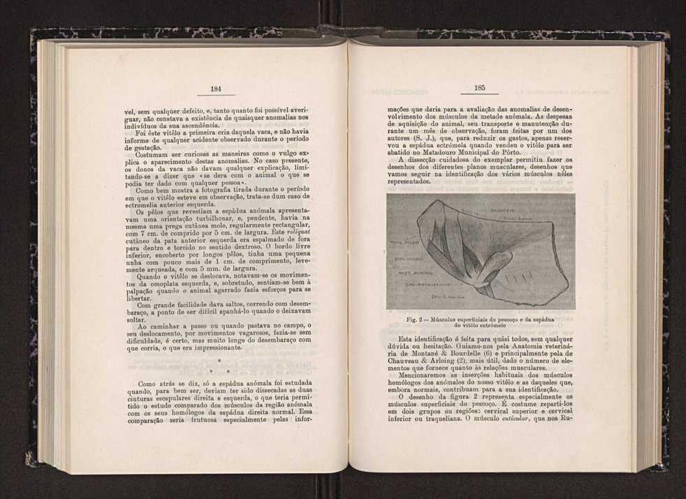 Anais da Faculdade de Scincias do Porto (antigos Annaes Scientificos da Academia Polytecnica do Porto). Vol. 28 101