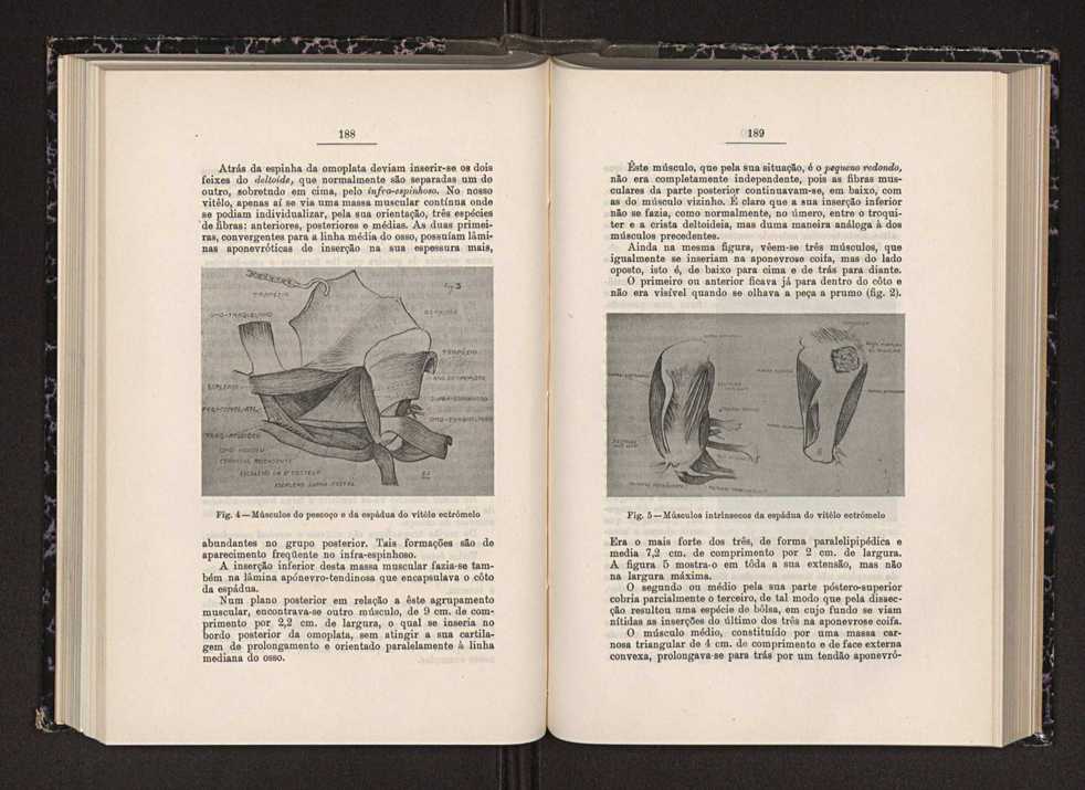 Anais da Faculdade de Scincias do Porto (antigos Annaes Scientificos da Academia Polytecnica do Porto). Vol. 28 104