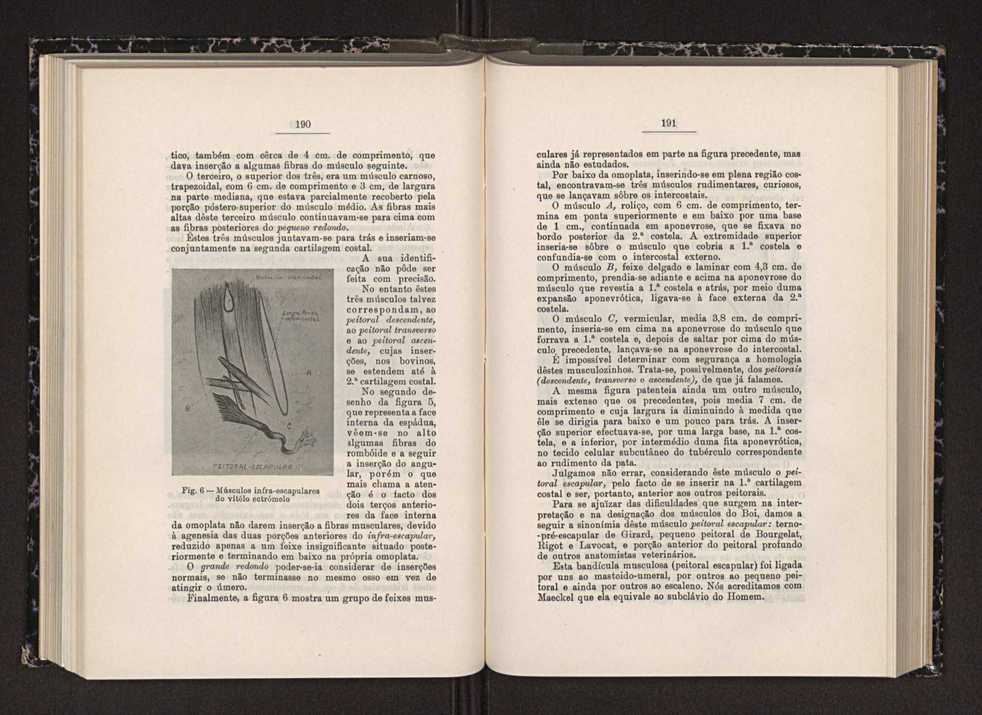 Anais da Faculdade de Scincias do Porto (antigos Annaes Scientificos da Academia Polytecnica do Porto). Vol. 28 105