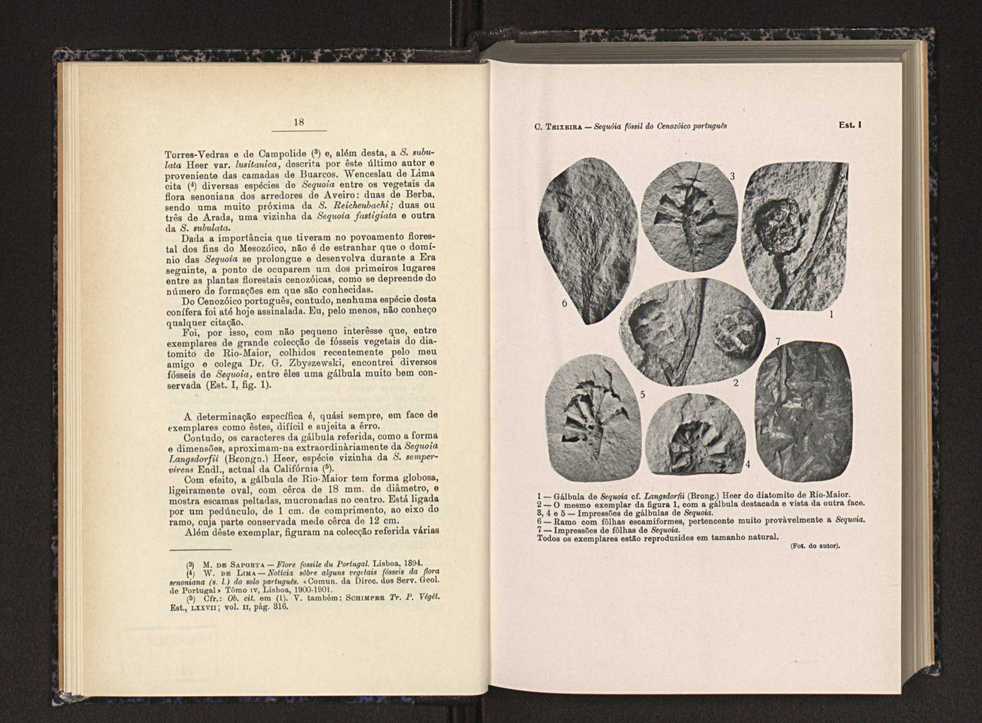 Anais da Faculdade de Scincias do Porto (antigos Annaes Scientificos da Academia Polytecnica do Porto). Vol. 29 10
