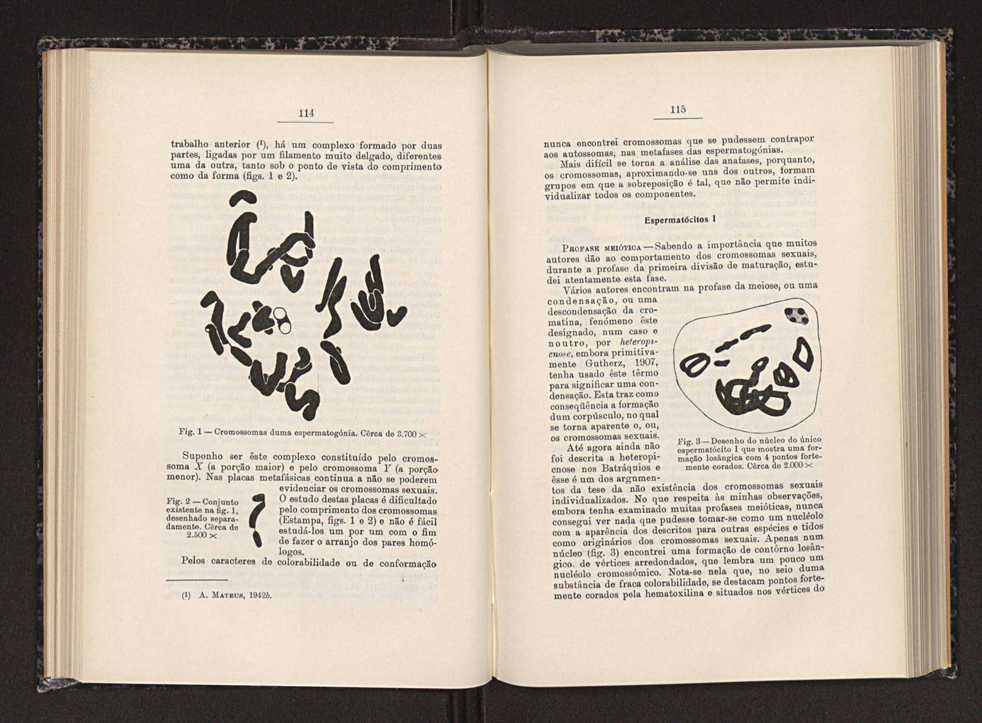 Anais da Faculdade de Scincias do Porto (antigos Annaes Scientificos da Academia Polytecnica do Porto). Vol. 29 62