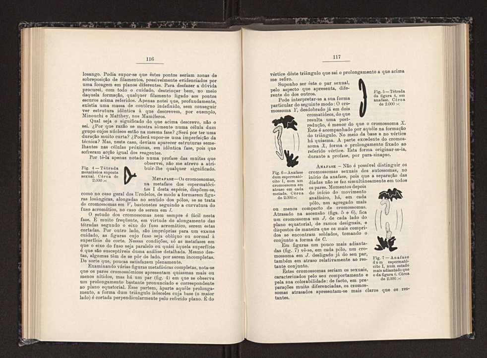 Anais da Faculdade de Scincias do Porto (antigos Annaes Scientificos da Academia Polytecnica do Porto). Vol. 29 63