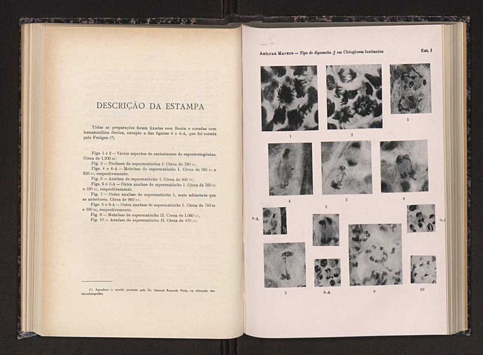 Anais da Faculdade de Scincias do Porto (antigos Annaes Scientificos da Academia Polytecnica do Porto). Vol. 29 73