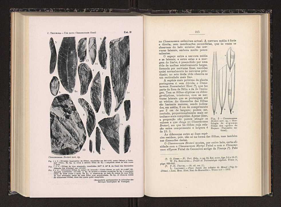 Anais da Faculdade de Scincias do Porto (antigos Annaes Scientificos da Academia Polytecnica do Porto). Vol. 29 114
