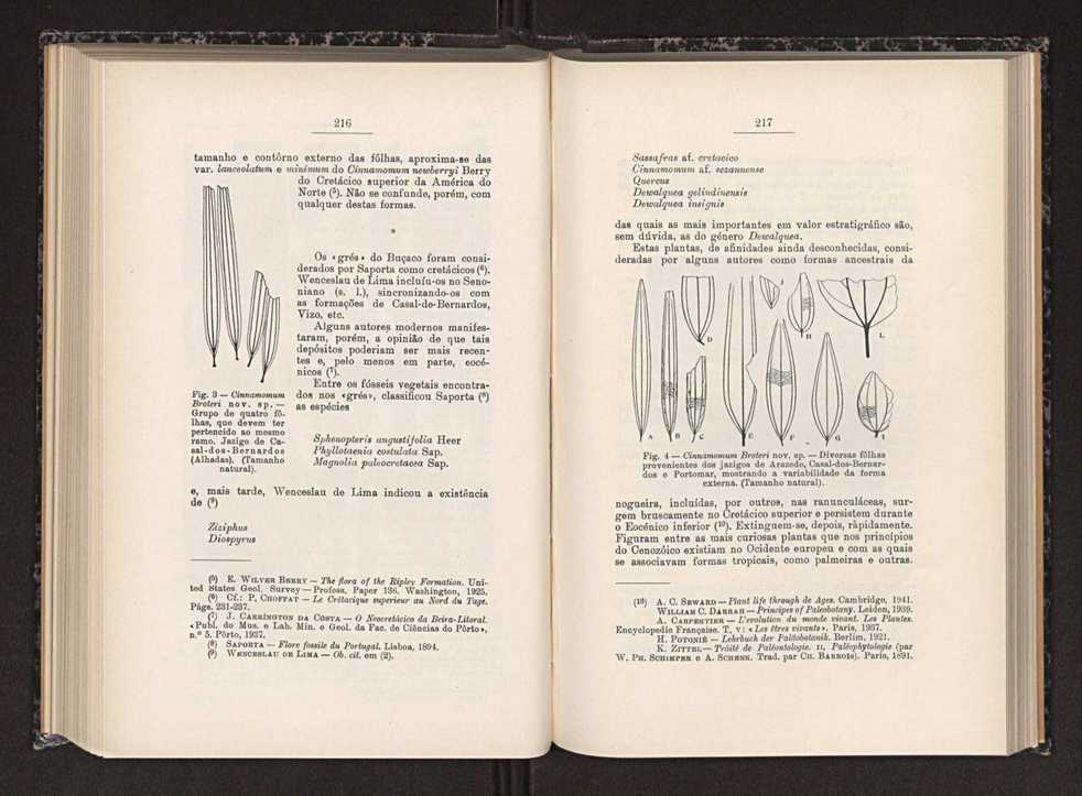 Anais da Faculdade de Scincias do Porto (antigos Annaes Scientificos da Academia Polytecnica do Porto). Vol. 29 115