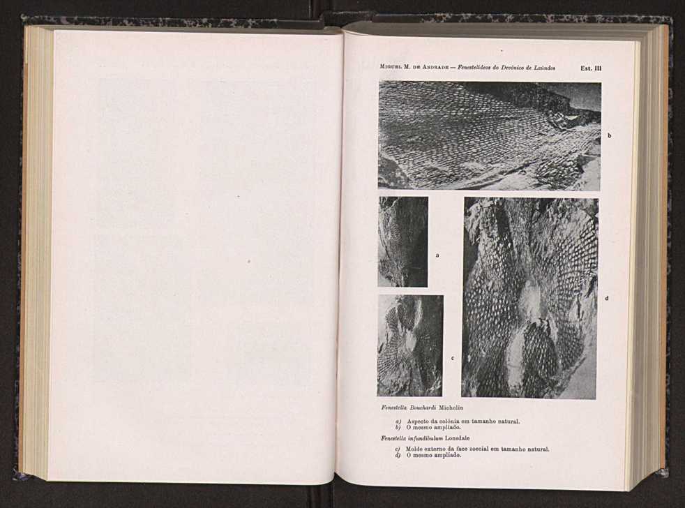 Anais da Faculdade de Scincias do Porto (antigos Annaes Scientificos da Academia Polytecnica do Porto). Vol. 30 65