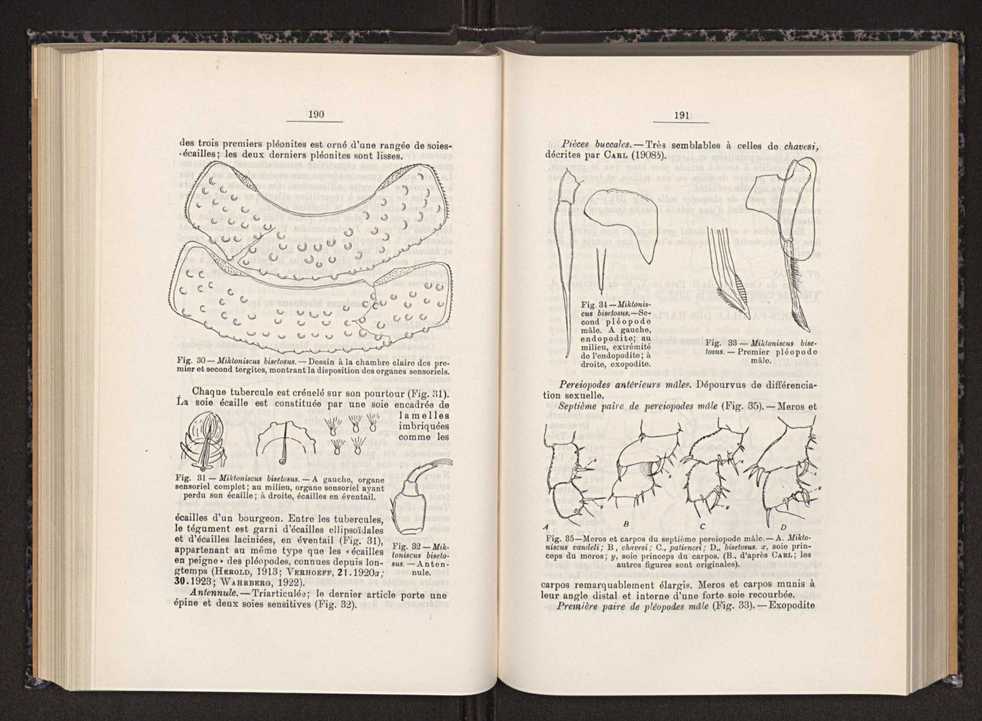 Anais da Faculdade de Scincias do Porto (antigos Annaes Scientificos da Academia Polytecnica do Porto). Vol. 30 107