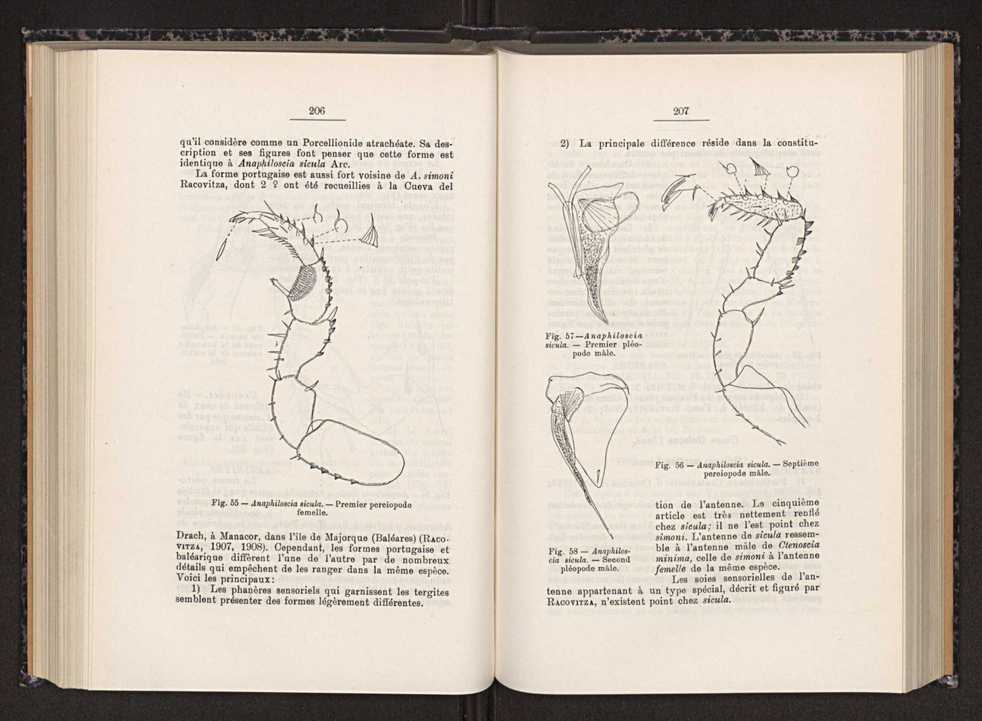 Anais da Faculdade de Scincias do Porto (antigos Annaes Scientificos da Academia Polytecnica do Porto). Vol. 30 115