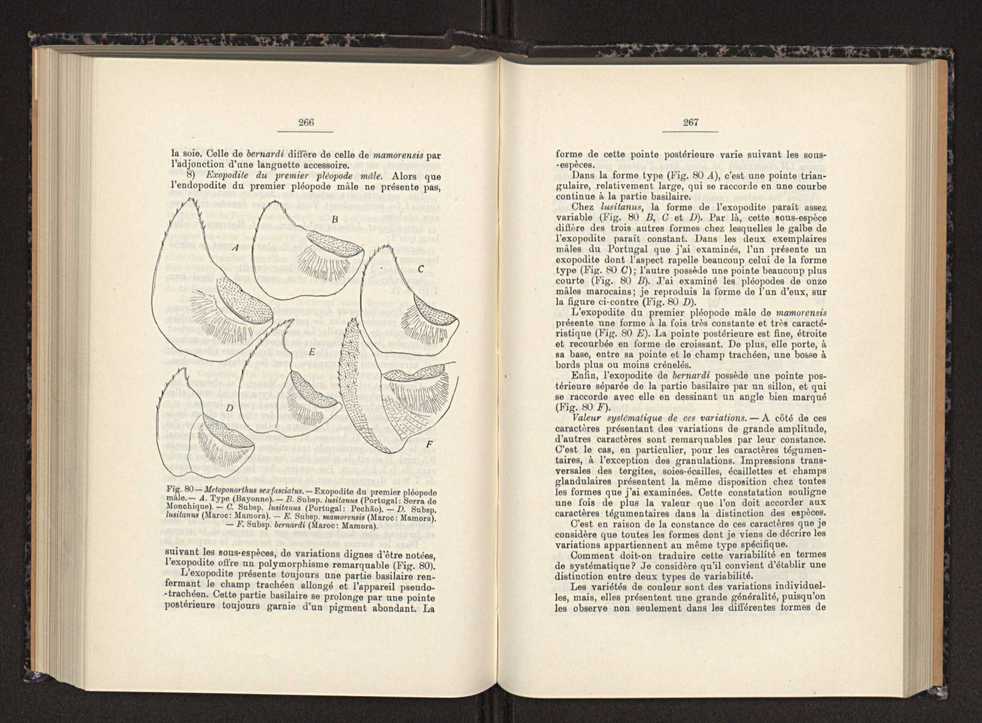 Anais da Faculdade de Scincias do Porto (antigos Annaes Scientificos da Academia Polytecnica do Porto). Vol. 30 146