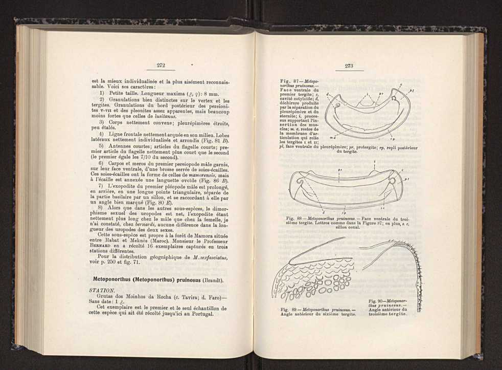 Anais da Faculdade de Scincias do Porto (antigos Annaes Scientificos da Academia Polytecnica do Porto). Vol. 30 149