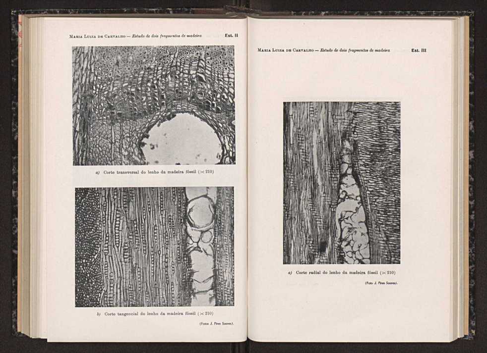 Anais da Faculdade de Scincias do Porto (antigos Annaes Scientificos da Academia Polytecnica do Porto). Vol. 33 108