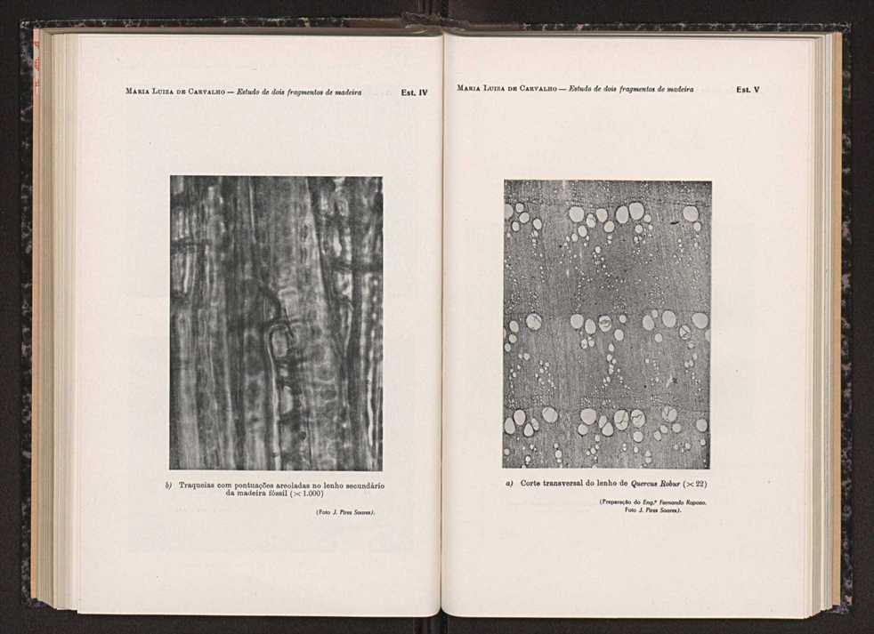 Anais da Faculdade de Scincias do Porto (antigos Annaes Scientificos da Academia Polytecnica do Porto). Vol. 33 109