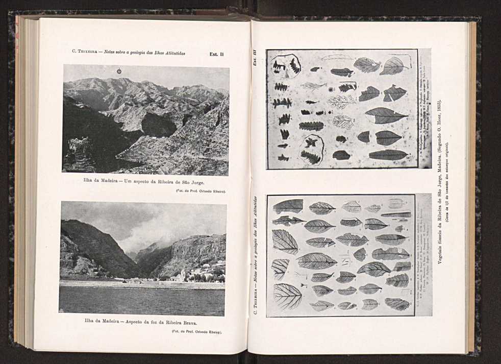 Anais da Faculdade de Scincias do Porto (antigos Annaes Scientificos da Academia Polytecnica do Porto). Vol. 33 137