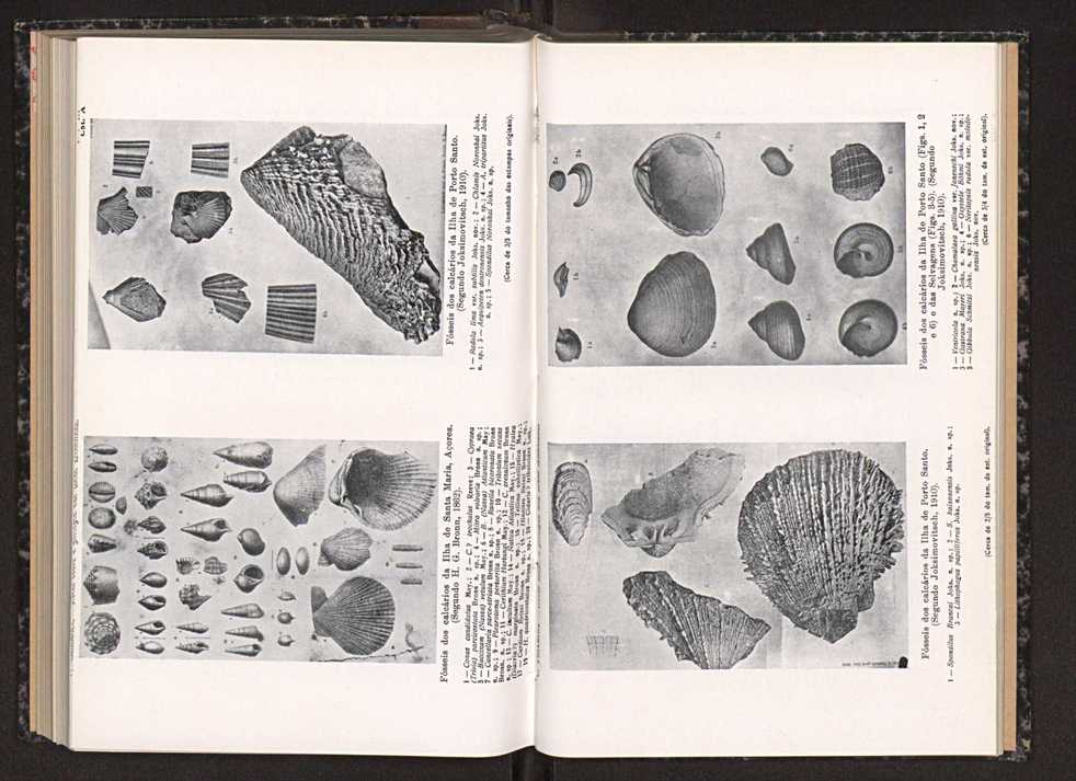 Anais da Faculdade de Scincias do Porto (antigos Annaes Scientificos da Academia Polytecnica do Porto). Vol. 33 141