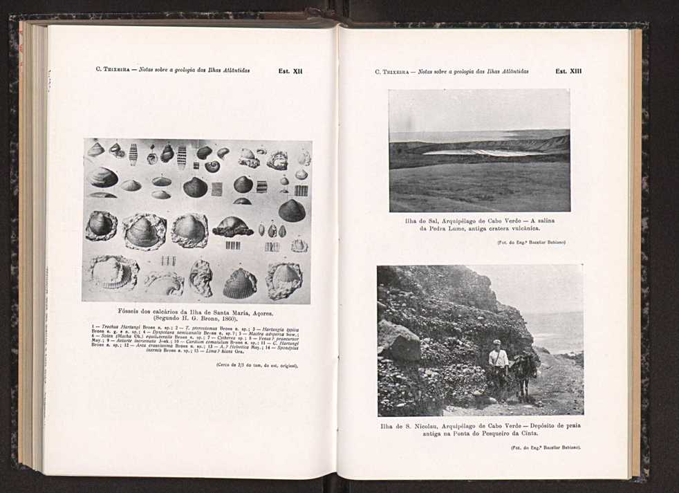 Anais da Faculdade de Scincias do Porto (antigos Annaes Scientificos da Academia Polytecnica do Porto). Vol. 33 142