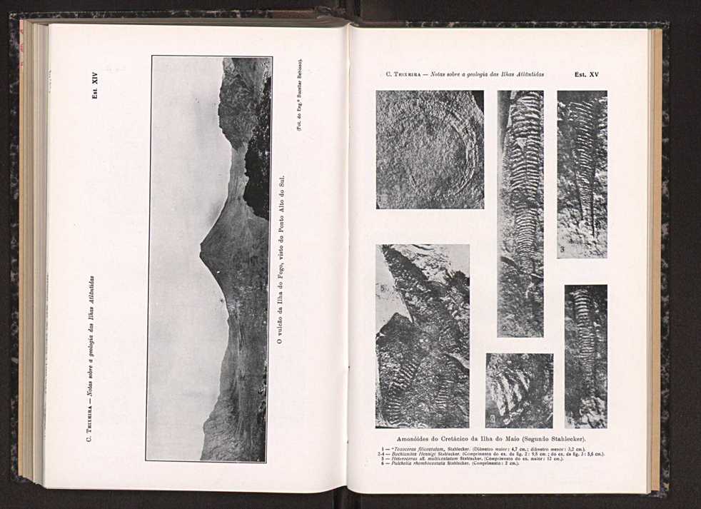 Anais da Faculdade de Scincias do Porto (antigos Annaes Scientificos da Academia Polytecnica do Porto). Vol. 33 143