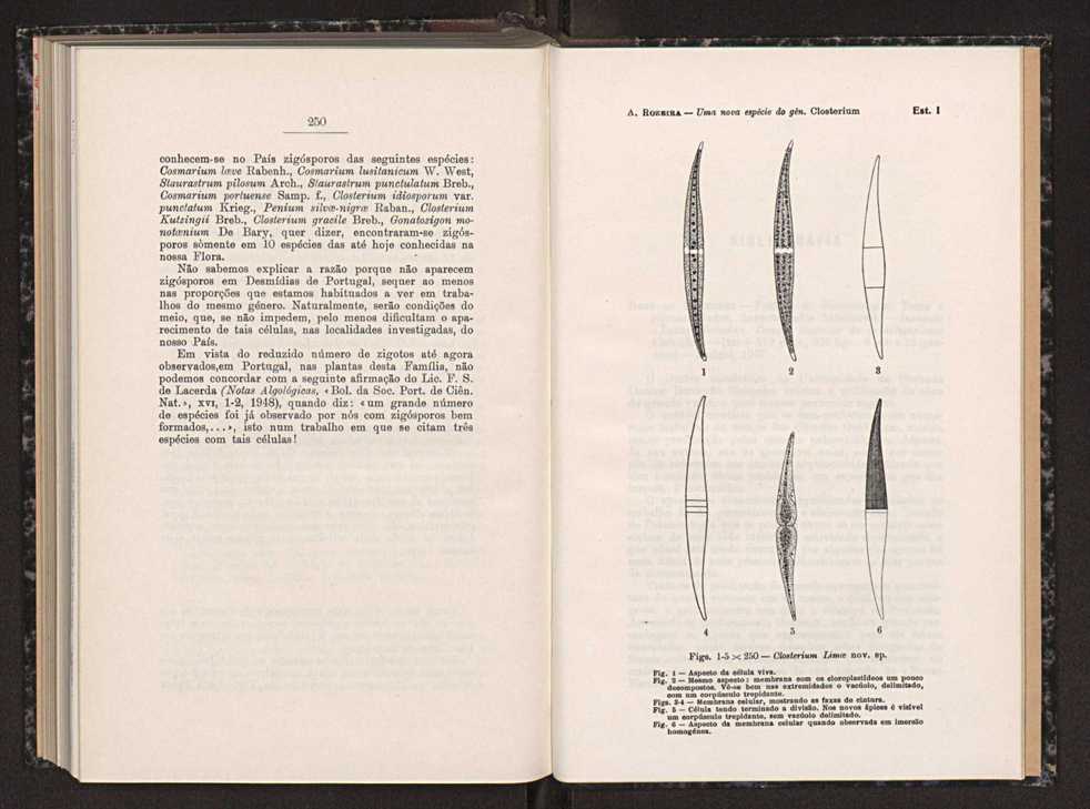 Anais da Faculdade de Scincias do Porto (antigos Annaes Scientificos da Academia Polytecnica do Porto). Vol. 33 154