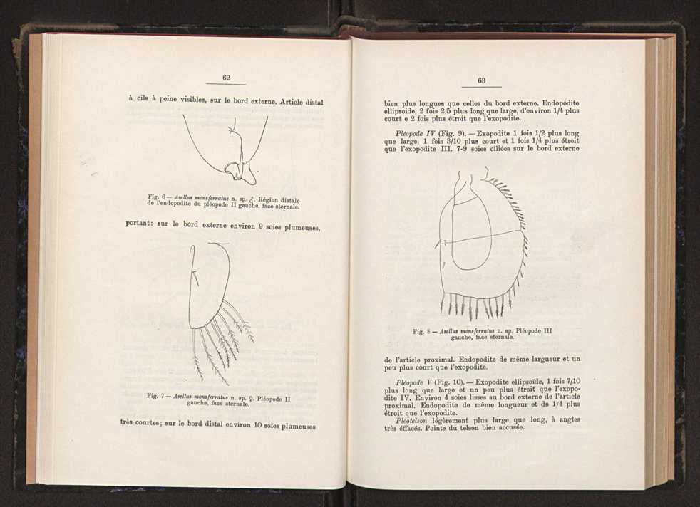 Anais da Faculdade de Scincias do Porto (antigos Annaes Scientificos da Academia Polytecnica do Porto). Vol. 34 34