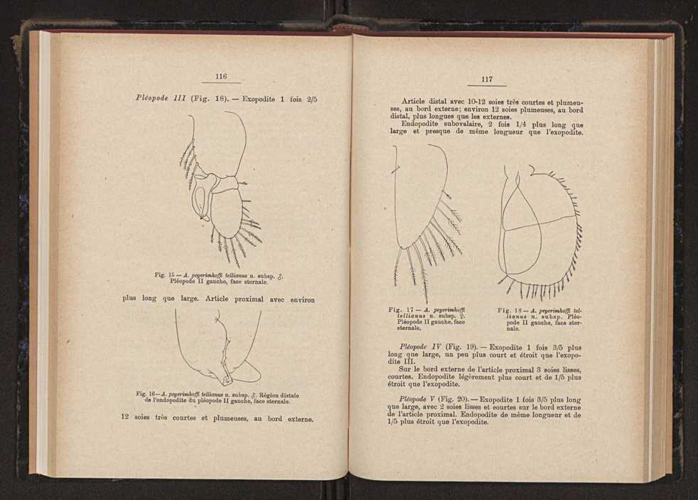 Anais da Faculdade de Scincias do Porto (antigos Annaes Scientificos da Academia Polytecnica do Porto). Vol. 34 60