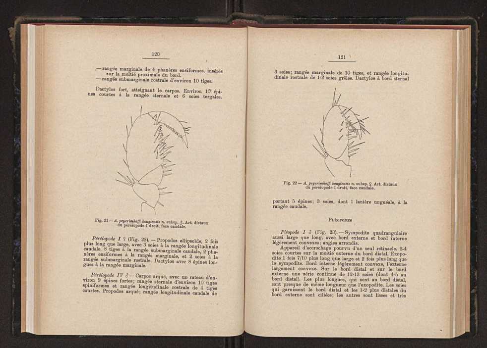 Anais da Faculdade de Scincias do Porto (antigos Annaes Scientificos da Academia Polytecnica do Porto). Vol. 34 62