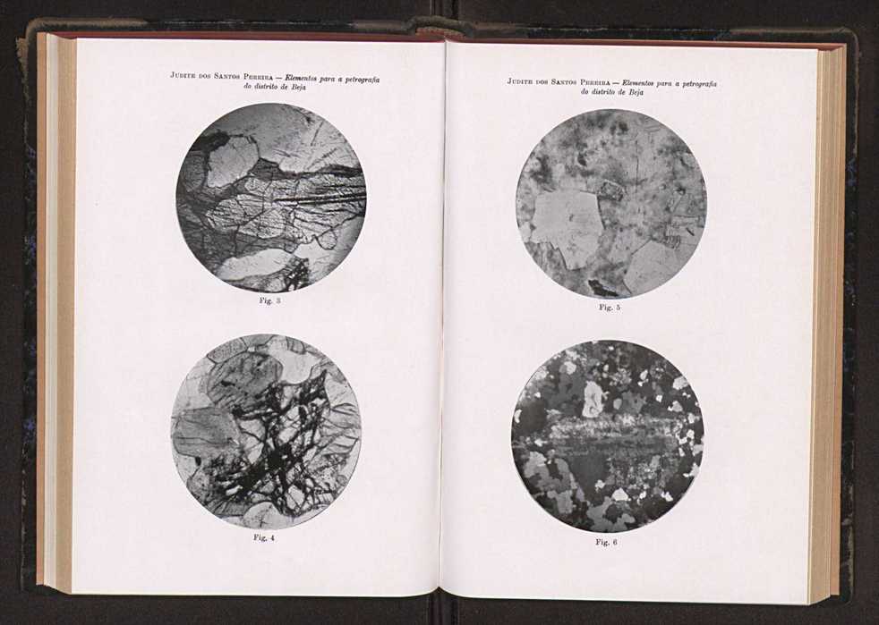 Anais da Faculdade de Scincias do Porto (antigos Annaes Scientificos da Academia Polytecnica do Porto). Vol. 34 81
