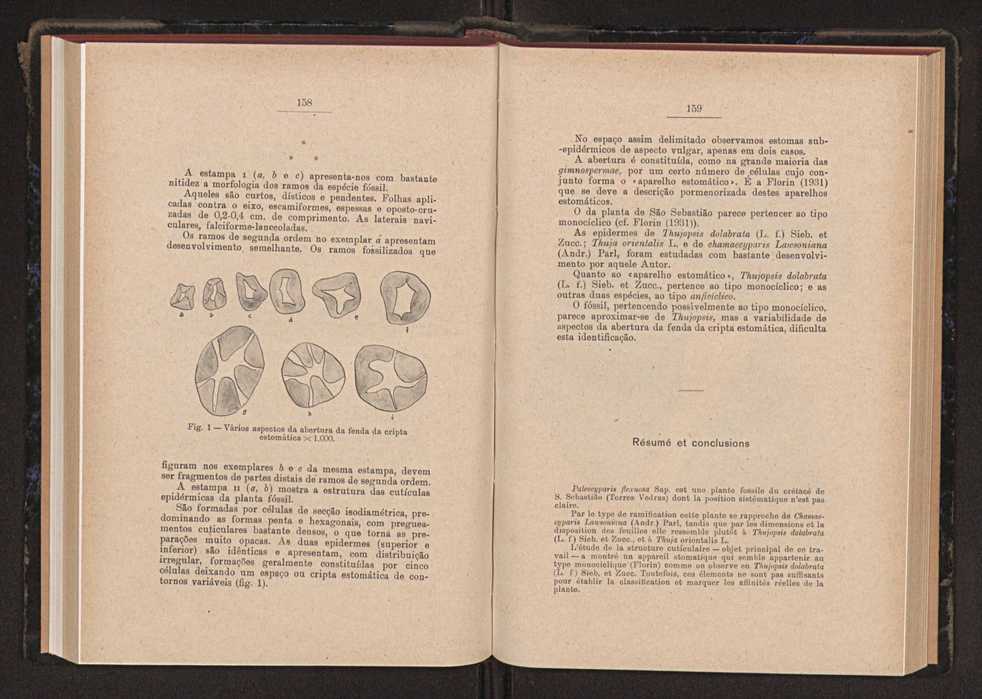 Anais da Faculdade de Scincias do Porto (antigos Annaes Scientificos da Academia Polytecnica do Porto). Vol. 34 83