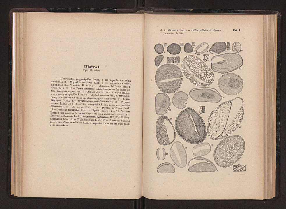 Anais da Faculdade de Scincias do Porto (antigos Annaes Scientificos da Academia Polytecnica do Porto). Vol. 36 62