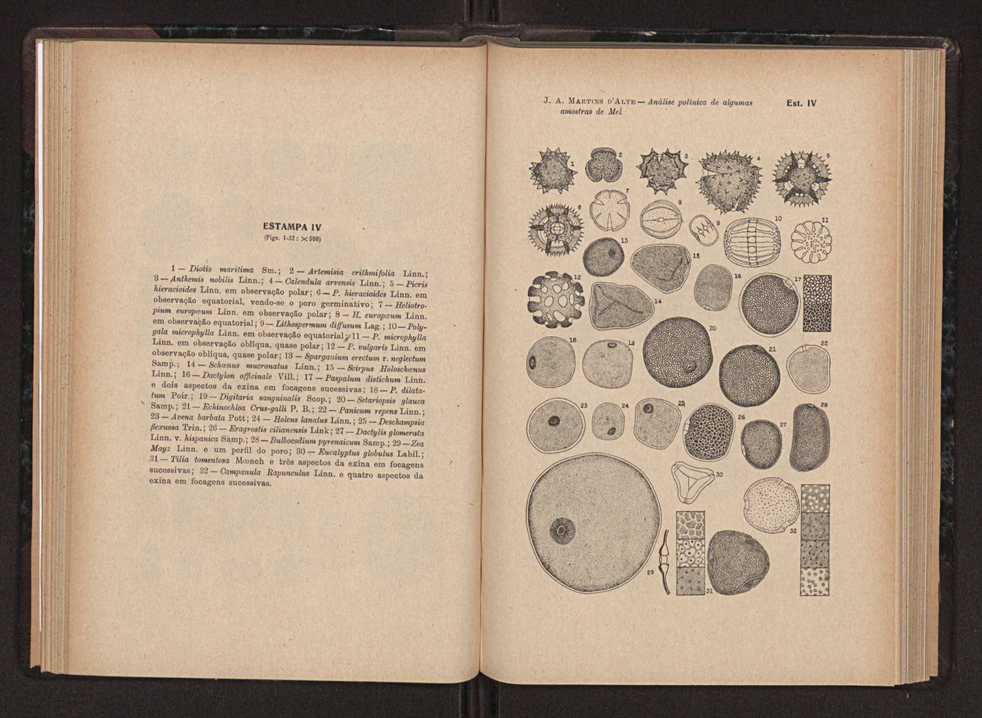 Anais da Faculdade de Scincias do Porto (antigos Annaes Scientificos da Academia Polytecnica do Porto). Vol. 36 65