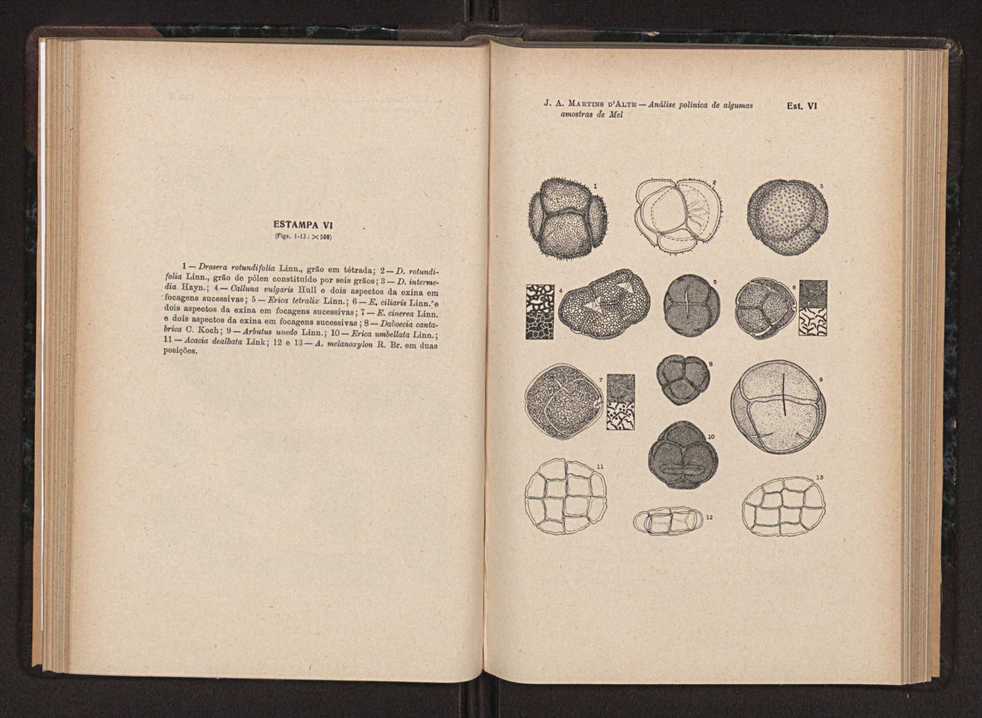 Anais da Faculdade de Sci�ncias do Porto (antigos Annaes Scientificos da Academia Polytecnica do Porto). Vol. 36 67