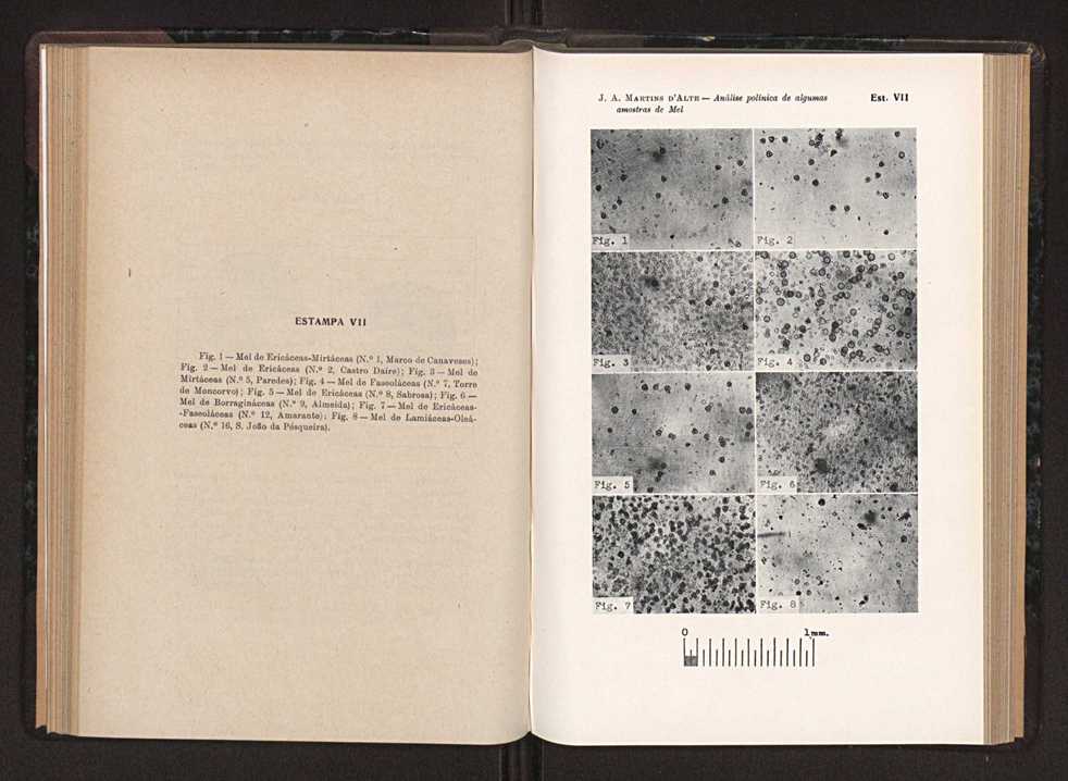 Anais da Faculdade de Scincias do Porto (antigos Annaes Scientificos da Academia Polytecnica do Porto). Vol. 36 78