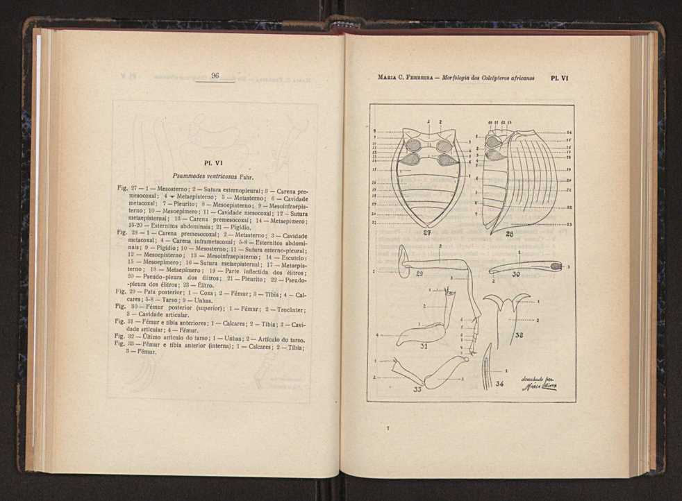 Anais da Faculdade de Scincias do Porto (antigos Annaes Scientificos da Academia Polytecnica do Porto). Vol. 37 53
